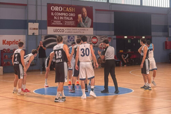 Basket LEcco Monza DR1